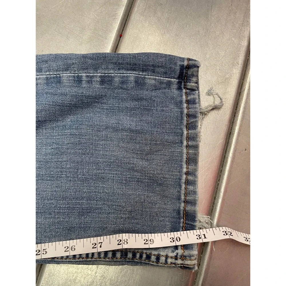 Levis levis 527